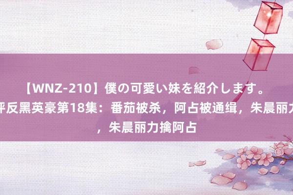 【WNZ-210】僕の可愛い妹を紹介します。 龚翔剧评反黑英豪第18集：番茄被杀，阿占被通缉，朱晨丽