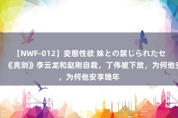 【NWF-012】変態性欲 妹との禁じられたセックス。 《亮剑》李云龙和赵刚自裁，丁伟被下放，为何他安享晚年