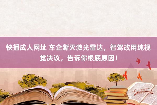 快播成人网址 车企澌灭激光雷达，智驾改用纯视觉决议，告诉你根底原因！