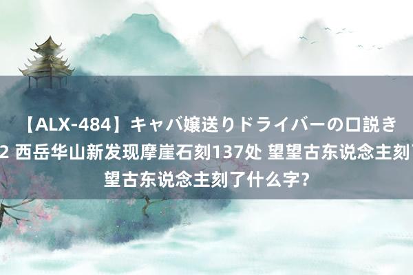 【ALX-484】キャバ嬢送りドライバーの口説きハメ撮り 2 西岳华山新发现摩崖石刻137处 望望古东说念主刻了什么字？