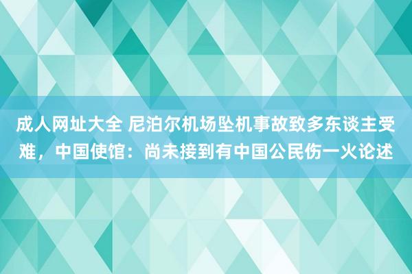 成人网址大全 尼泊尔机场坠机事故致多东谈主受难，中国使馆：尚未接到有中国公民伤一火论述