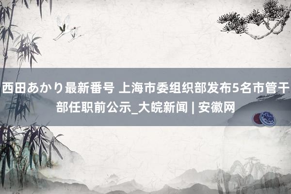 西田あかり最新番号 上海市委组织部发布5名市管干部任职前公示_大皖新闻 | 安徽网