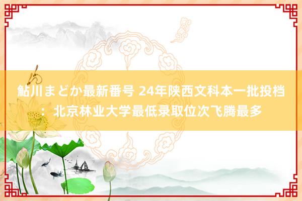 鮎川まどか最新番号 24年陕西文科本一批投档：北京林业大学最低录取位次飞腾最多