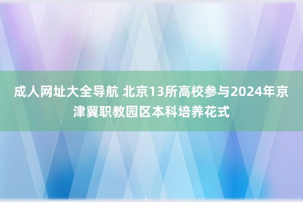 成人网址大全导航 北京13所高校参与2024年京津冀职教园区本科培养花式