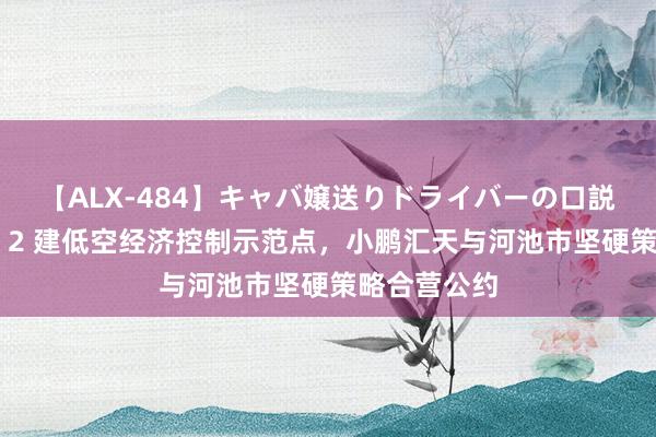 【ALX-484】キャバ嬢送りドライバーの口説きハメ撮り 2 建低空经济控制示范点，小鹏汇天与河池市