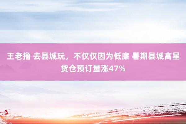 王老撸 去县城玩，不仅仅因为低廉 暑期县城高星货仓预订量涨47%