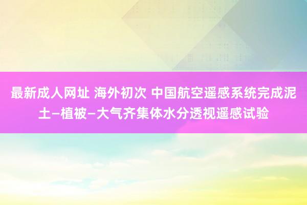 最新成人网址 海外初次 中国航空遥感系统完成泥土—植被—大气齐集体水分透视遥感试验