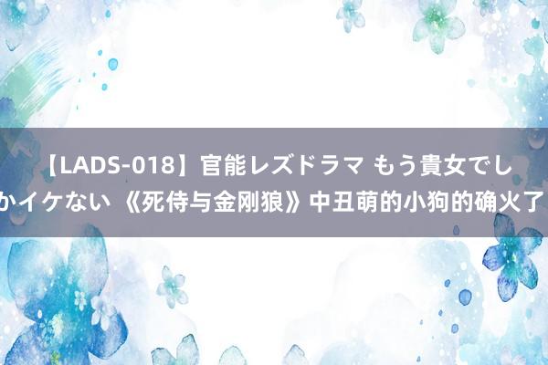 【LADS-018】官能レズドラマ もう貴女でしかイケない 《死侍与金刚狼》中丑萌的小狗的确火了。