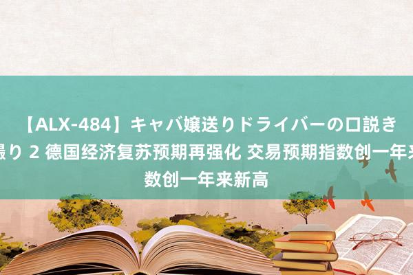 【ALX-484】キャバ嬢送りドライバーの口説きハメ撮り 2 德国经济复苏预期再强化 交易预期指数创