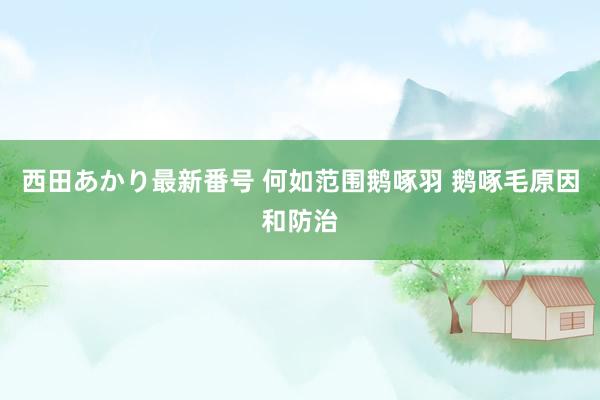 西田あかり最新番号 何如范围鹅啄羽 鹅啄毛原因和防治