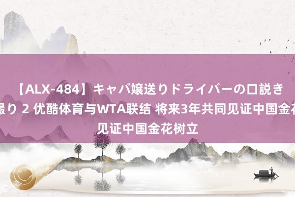 【ALX-484】キャバ嬢送りドライバーの口説きハメ撮り 2 优酷体育与WTA联结 将来3年共同见证中国金花树立