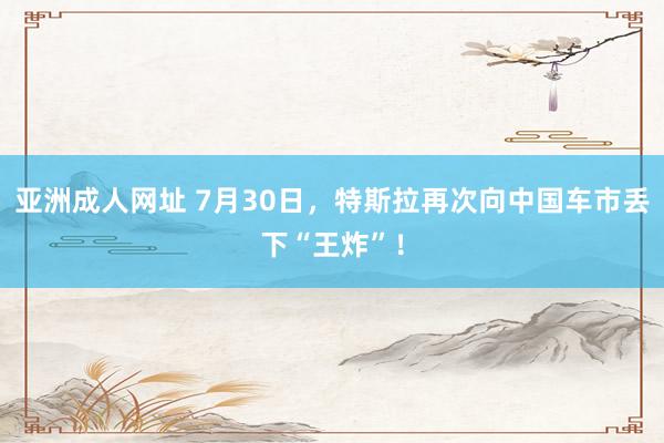 亚洲成人网址 7月30日，特斯拉再次向中国车市丢下“王炸”！