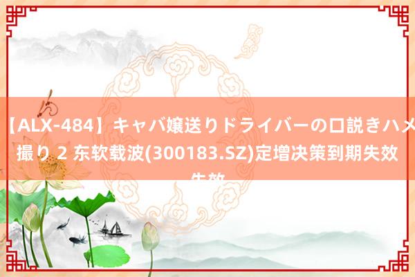 【ALX-484】キャバ嬢送りドライバーの口説きハメ撮り 2 东软载波(300183.SZ)定增决策到期失效