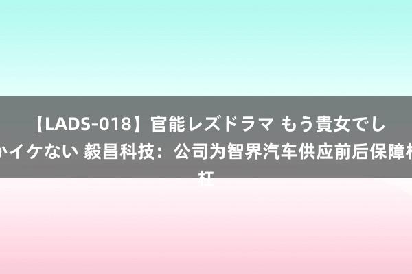 【LADS-018】官能レズドラマ もう貴女でしかイケない 毅昌科技：公司为智界汽车供应前后保障杠