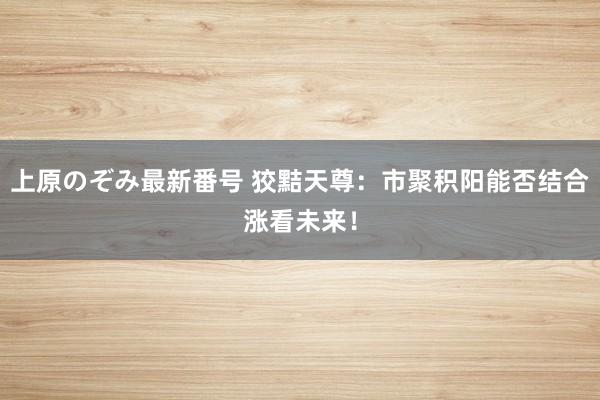 上原のぞみ最新番号 狡黠天尊：市聚积阳能否结合涨看未来！