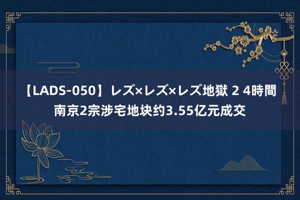 【LADS-050】レズ×レズ×レズ地獄 2 4時間 南京2宗涉宅地块约3.55亿元成交