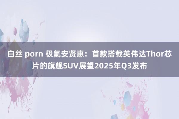 白丝 porn 极氪安贤惠：首款搭载英伟达Thor芯片的旗舰SUV展望2025年Q3发布