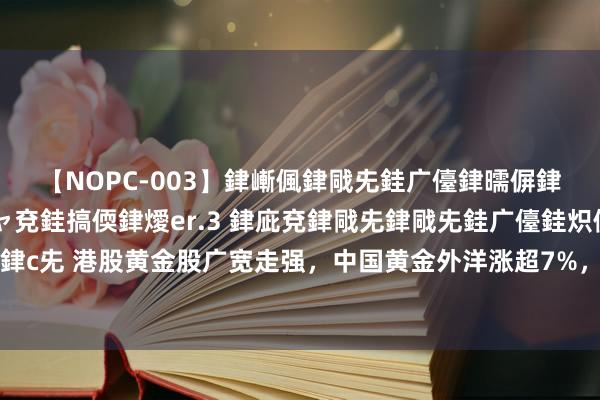 【NOPC-003】銉嶃偑銉戙兂銈广儓銉曘偋銉嗐偅銉冦偡銉ャ儫銉ャ兗銈搞偄銉燰er.3 銉庛兗銉戙兂