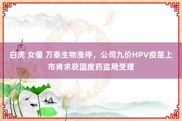 白虎 女優 万泰生物涨停，公司九价HPV疫苗上市肯求获国度药监局受理