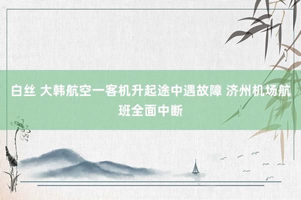 白丝 大韩航空一客机升起途中遇故障 济州机场航班全面中断