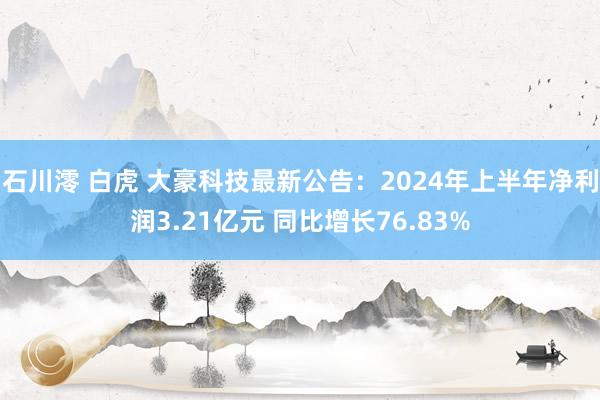 石川澪 白虎 大豪科技最新公告：2024年上半年净利润3.21亿元 同比增长76.83%