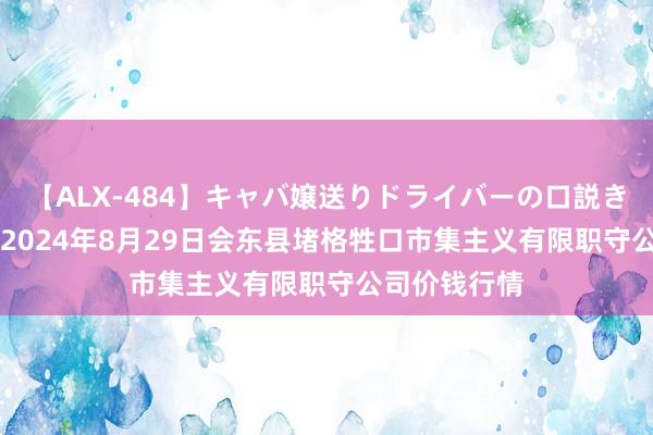 【ALX-484】キャバ嬢送りドライバーの口説きハメ撮り 2 2024年8月29日会东县堵格牲口市集