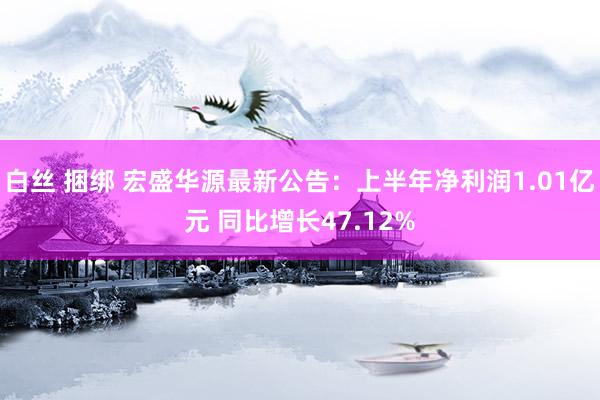 白丝 捆绑 宏盛华源最新公告：上半年净利润1.01亿元 同比增长47.12%