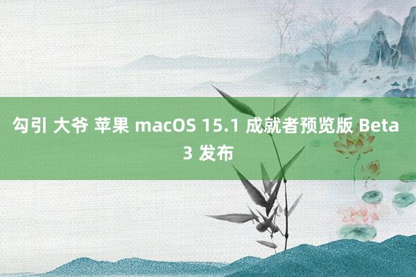 勾引 大爷 苹果 macOS 15.1 成就者预览版 Beta 3 发布