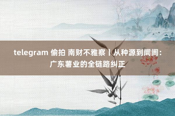 telegram 偷拍 南财不雅察丨从种源到阛阓：广东薯业的全链路纠正