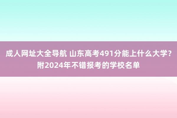 成人网址大全导航 山东高考491分能上什么大学？附2024年不错报考的学校名单