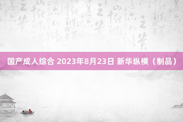 国产成人综合 2023年8月23日 新华纵横（制品）