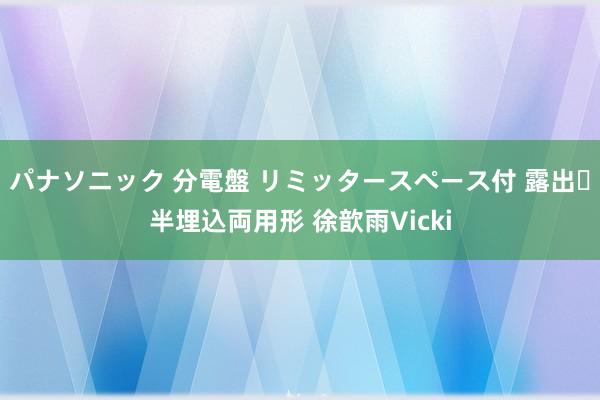 パナソニック 分電盤 リミッタースペース付 露出・半埋込両用形 徐歆雨Vicki