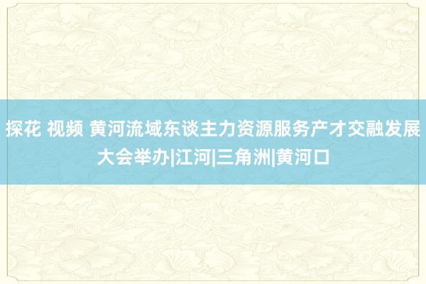 探花 视频 黄河流域东谈主力资源服务产才交融发展大会举办|江河|三角洲|黄河口